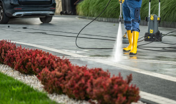 Best Driveway Pressure Washing  in Mount Pleasant, NC